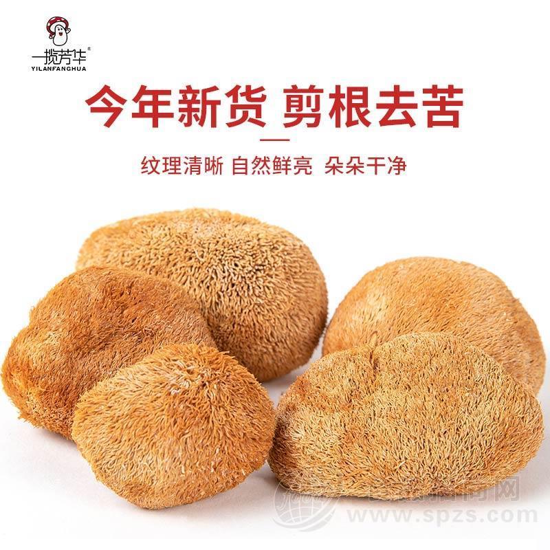 一揽芳华菌菇猴头菇干货新鲜采摘手工挑选原色浑圆饱满自然晾晒招商