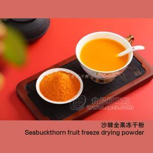 沙棘冻干粉OEM贴牌代加工如何选择生产厂商