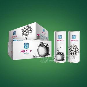 海岛原生道 椰子汁饮料 植物蛋白饮料招商245mlx24罐