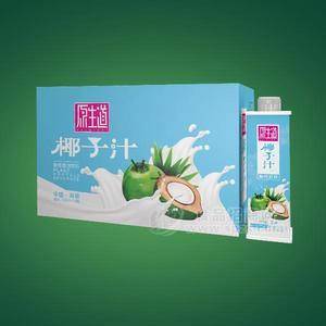 原生道 椰子汁饮料 椰肉鲜榨 植物蛋白饮料600mlx15瓶