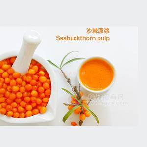 沙棘浓缩饮料健康饮品受爱戴招商