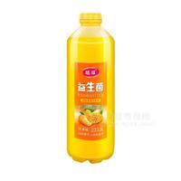 聰旺 益生菌發(fā)酵果汁飲料 芒果味果汁  果味飲料新品招商1.5L