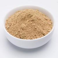 牛肉粉外撒料 膨化食品调味料招商