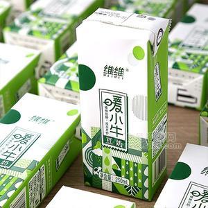 维维暖小牛豆奶 植物蛋白饮品植物饮料新品招商250ml