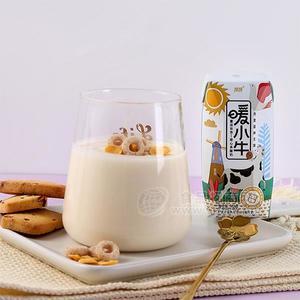 維維暖小牛 風味酸牛奶  酸奶招商 新品上市200g