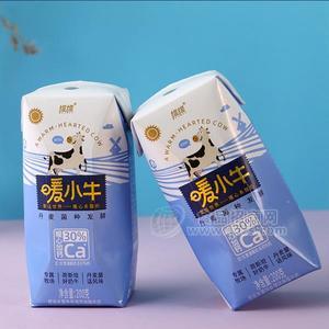 維維 暖小牛 風味發(fā)酵酸牛奶 酸奶招商新品上市200g