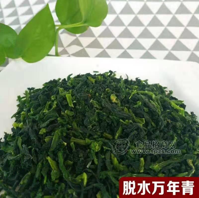 菜老蔫脫水萬年青廠家直銷，切碎泡發(fā)率4到5倍