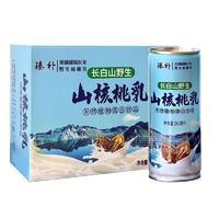 臻补 长白山野生山核桃乳饮料 天然植物蛋白饮品 240ml 礼盒 饮料 (1)