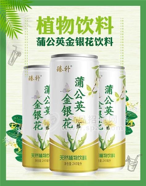 臻补 蒲公英金银花饮料 天然植物饮料 240ml 礼盒 饮品 (2)