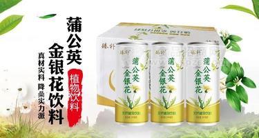 臻補 蒲公英金銀花飲料 天然植物飲料 240ml 禮盒 飲品 (1)