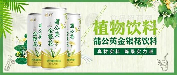 臻補(bǔ) 蒲公英金銀花飲料 天然植物飲料 240ml 禮盒 飲品 (5)