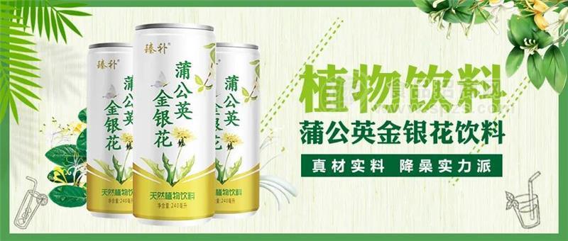 臻補(bǔ) 蒲公英金銀花飲料 天然植物飲料 240ml 禮盒 飲品 (5)