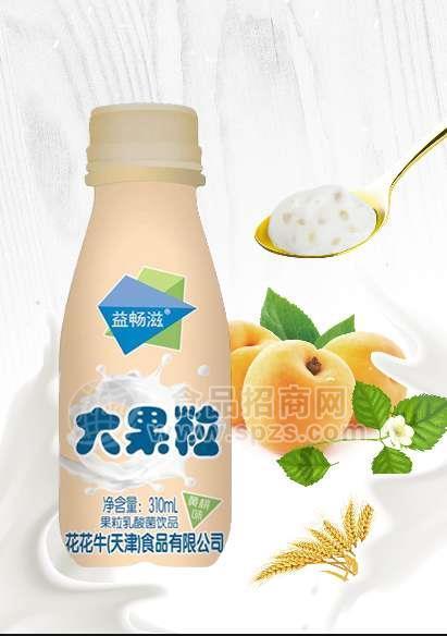 益暢滋大果粒黃桃味乳酸菌310ml招商中