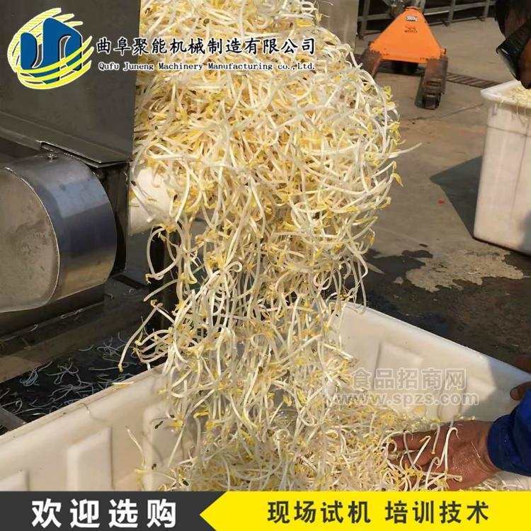 新式自动豆芽机无噪音 定时淋水豆芽机