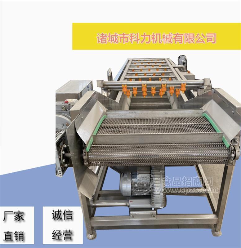 果蔬清洗設(shè)備_小龍蝦清洗設(shè)備
