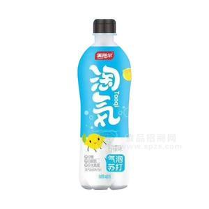 溪格爾氣泡水檸檬味480ml