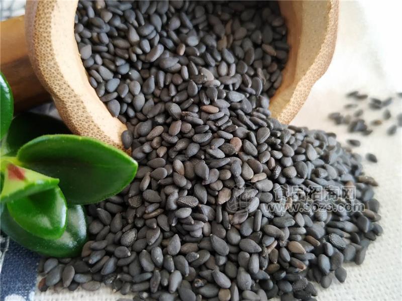 呼和浩特黑芝麻厂家 三英食品大量批发黑芝麻