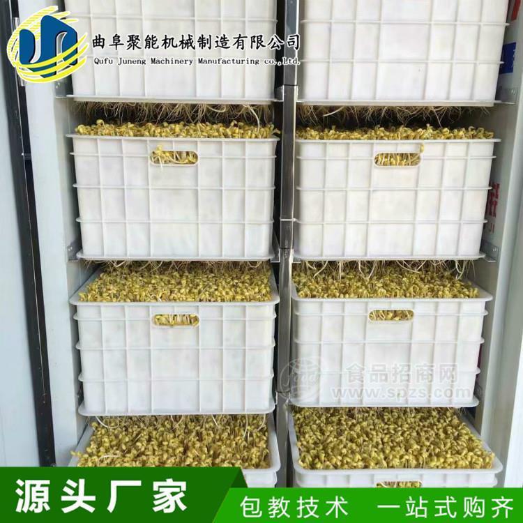 家用小型豆芽機價格 全自動大型豆芽機