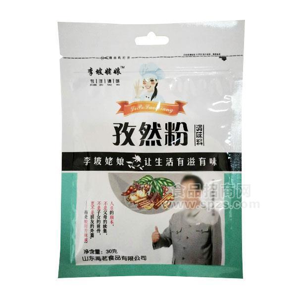 李坡姥娘 孜然粉 調(diào)味粉 招商30g