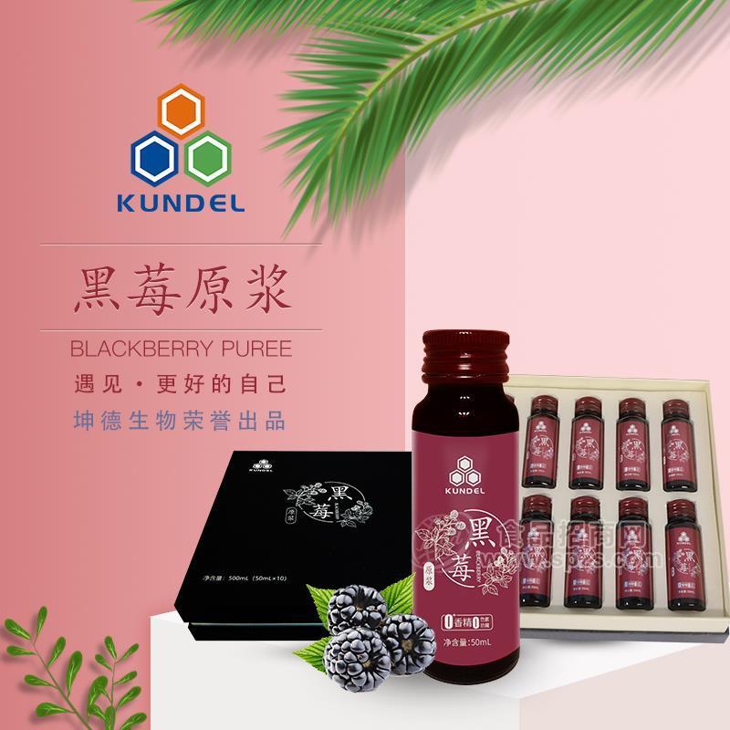 黑莓原浆   黑莓原果浆   黑莓果汁  黑莓饮料   果汁饮料  50ml