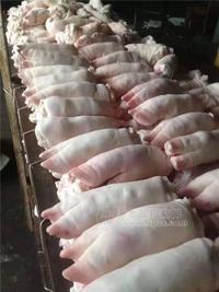 肥猪国产进口带筋冻猪爪猪脚猪蹄手踭前后肘子程阳食品