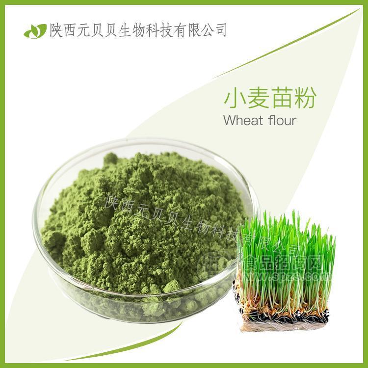 小麦苗粉  SC源头厂家现货供应 口感浓郁代餐粉 壹贝子高质量小麦苗粉