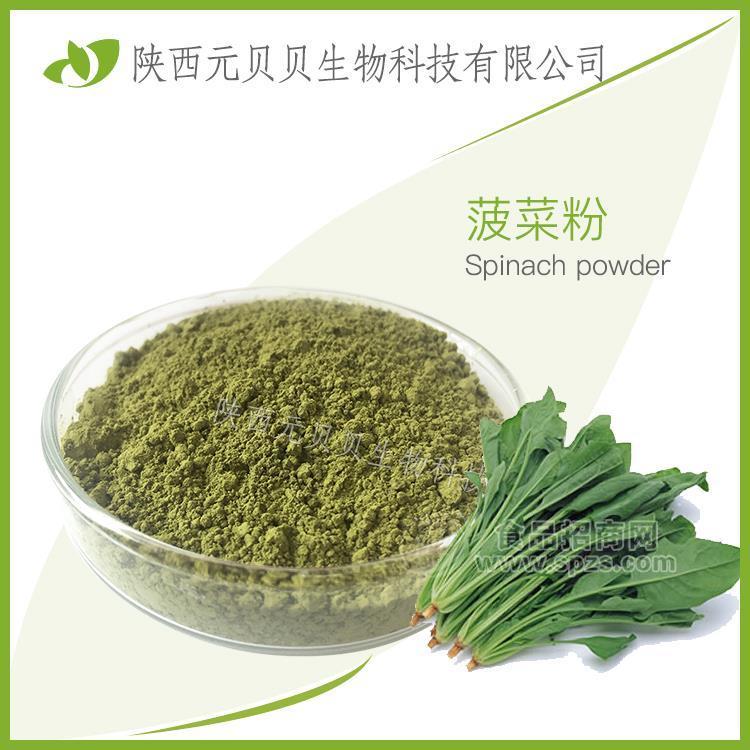 菠菜提取物 口感浓郁代餐粉 SC源头厂家现货供应免费拿样 壹贝子菠菜粉