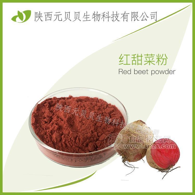 甜菜粉 SC源头厂家直供速溶 红甜菜根粉 免费提供样品  壹贝子红甜菜粉