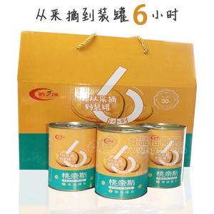 浩飞黄桃铁皮罐罐头