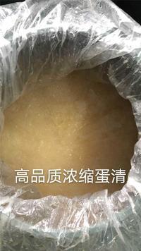 荊楚明珠高品質濃縮蛋清