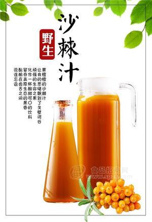 厂家直销 1+3 沙棘饮料浓浆3倍浓缩果汁 餐饮连锁专用1000g/包招商