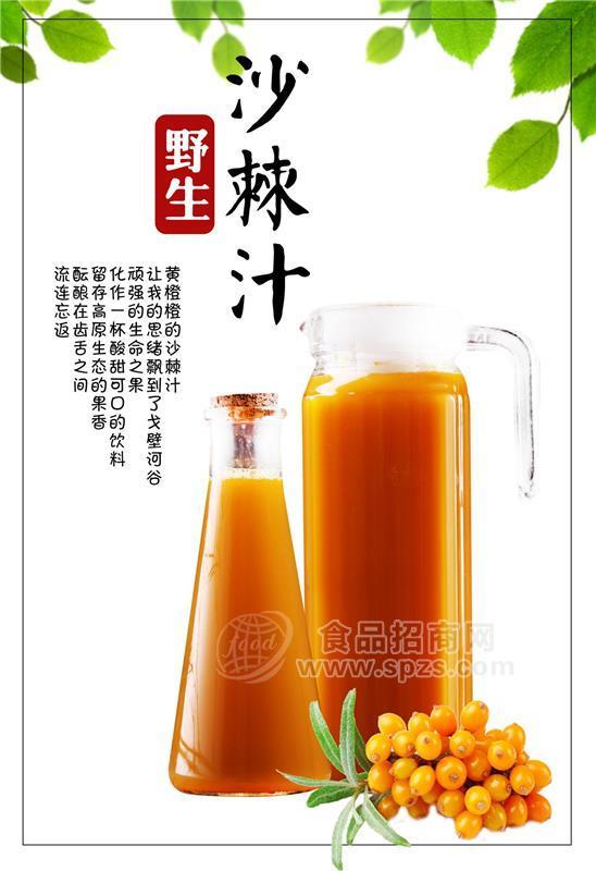 厂家直销 1+3 沙棘饮料浓浆3倍浓缩果汁 餐饮连锁专用1000g/包招商