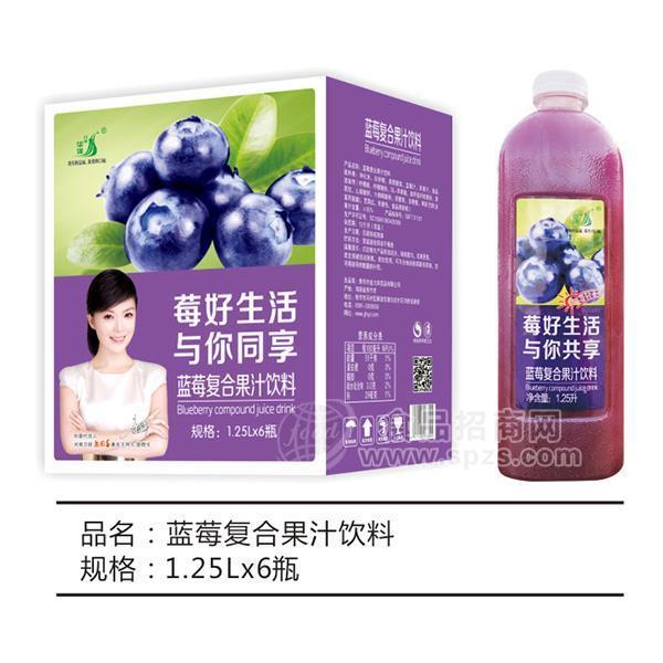 九州華洋藍(lán)莓復(fù)合果汁飲料1.25LX6瓶