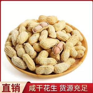 咸干花生   休閑食品  炒貨 招商  代理   