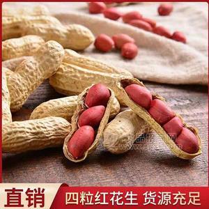 四粒紅花生    休閑食品  招商  代理  