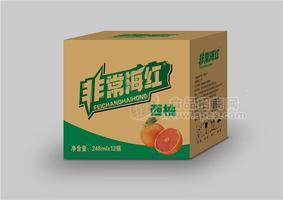 非常海红西柚果味饮料248ml*12