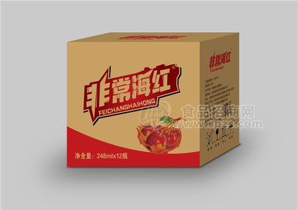 非常海红果味饮料248ml*12