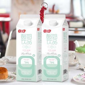 牛加加餐饮奶酒店供应酸奶招商发酵型酸奶生牛乳＋乳酸菌酸奶饮品招商928g