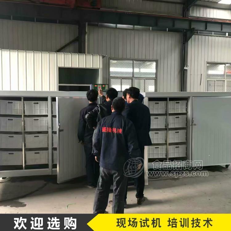 家用全自动豆芽机视频 商用豆芽机