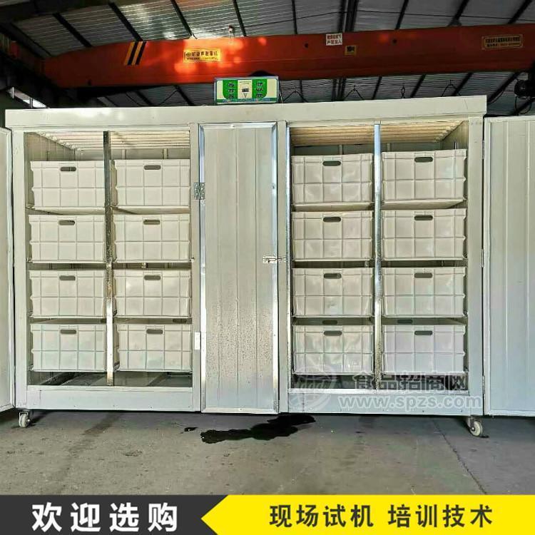 商用全自动豆芽机 新型豆芽机厂家直销