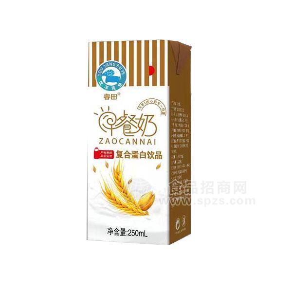 睿田早餐奶复合蛋白饮品250ml