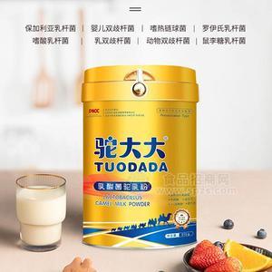 駝大大駝乳粉乳酸菌駱駝乳粉發(fā)酵型駱駝奶粉招商代理315g