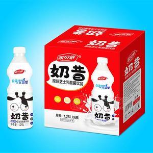 家贝鲜大瓶整箱装原味奶昔芝士乳酸菌饮品招商芝士奶昔代理1.25Lx6瓶