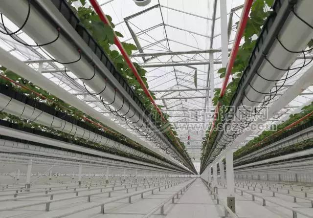 空中草莓栽培系统-反渗透纯水设备-智能温室大棚铝型材-种植塔