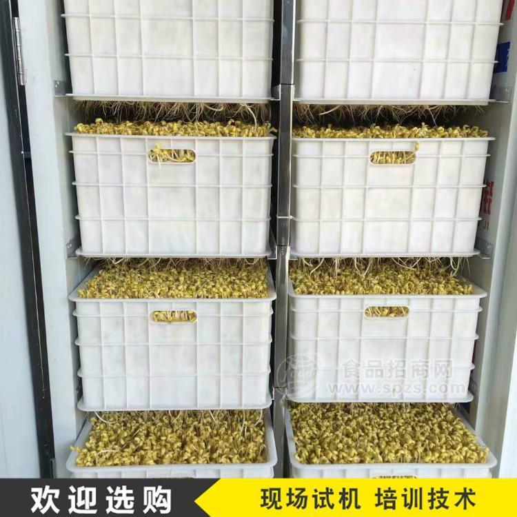 不銹鋼家用全自動豆芽機 豆芽機價錢