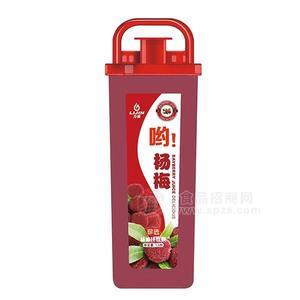 力錦喲楊梅汁飲料 果汁飲料招商1.5L