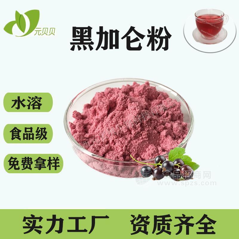 黑加果汁粉厂家直供现货批发黑醋栗粉黑加仑提取物黑加仑粉