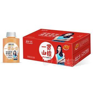 魯佰一貫山楂復(fù)合果汁飲料380mlx15瓶