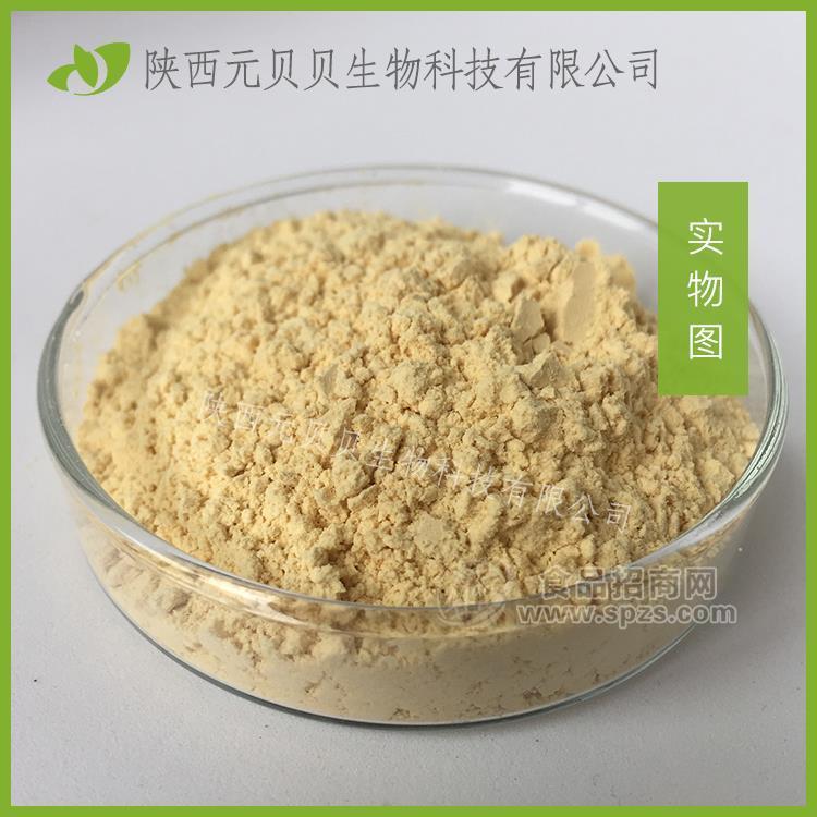 人参皂苷实力工厂现货批发原料人参茎叶总皂苷80% 人参提取物