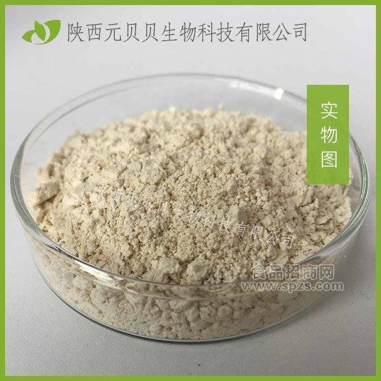 藤茶提取物98% 壹貝子實(shí)力工廠原料現(xiàn)貨批發(fā)27200-12-0二q楊梅素